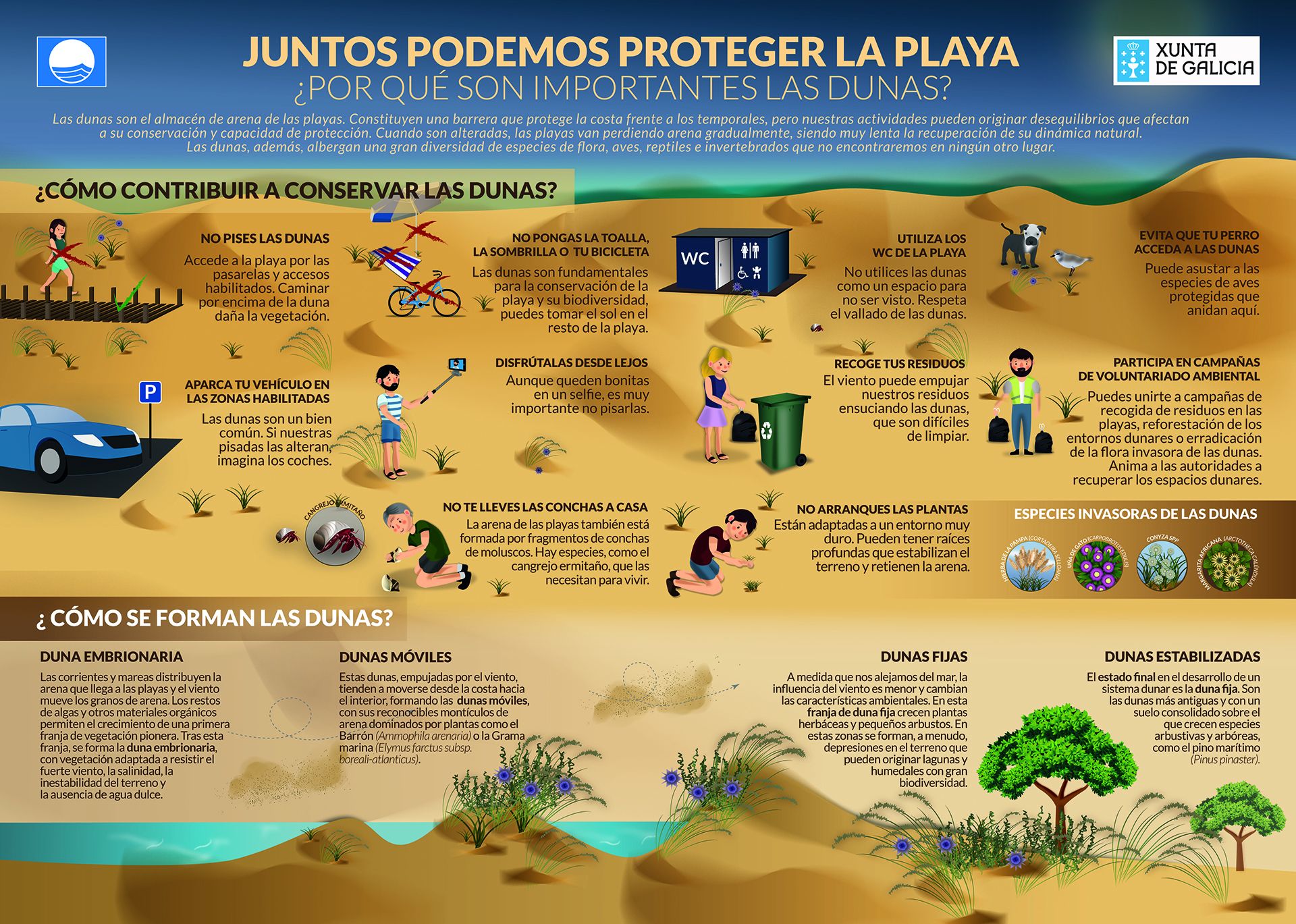 poster dunas