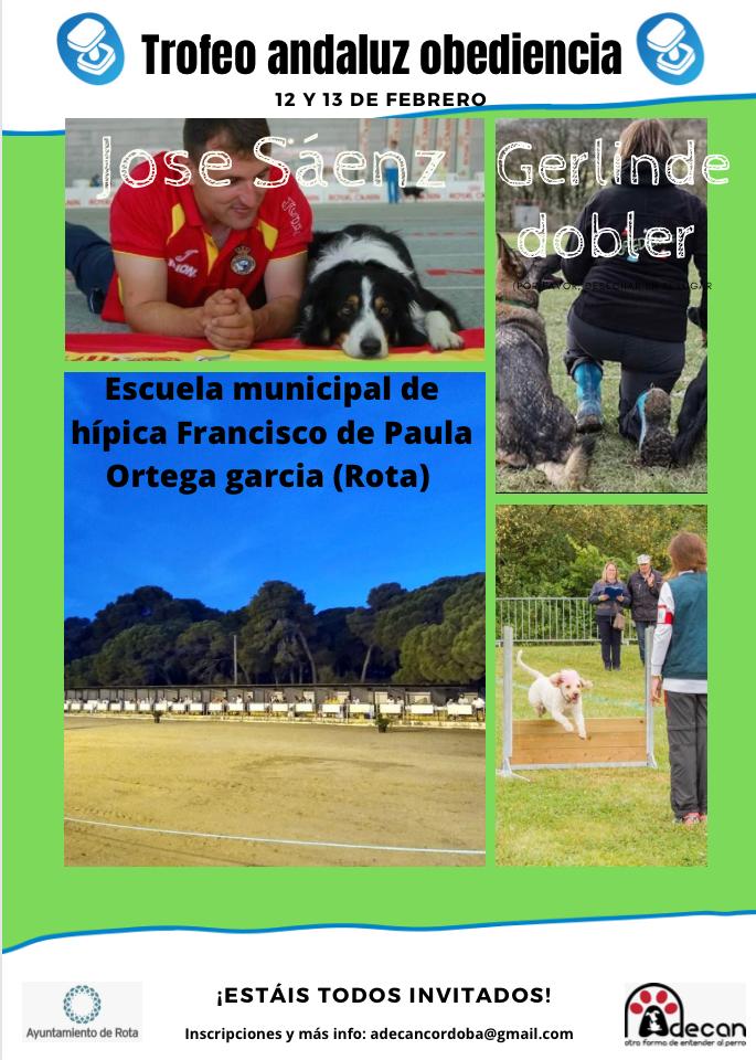 PERRO