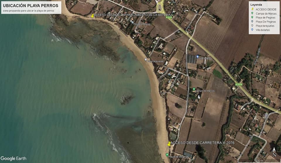 220610playaperros