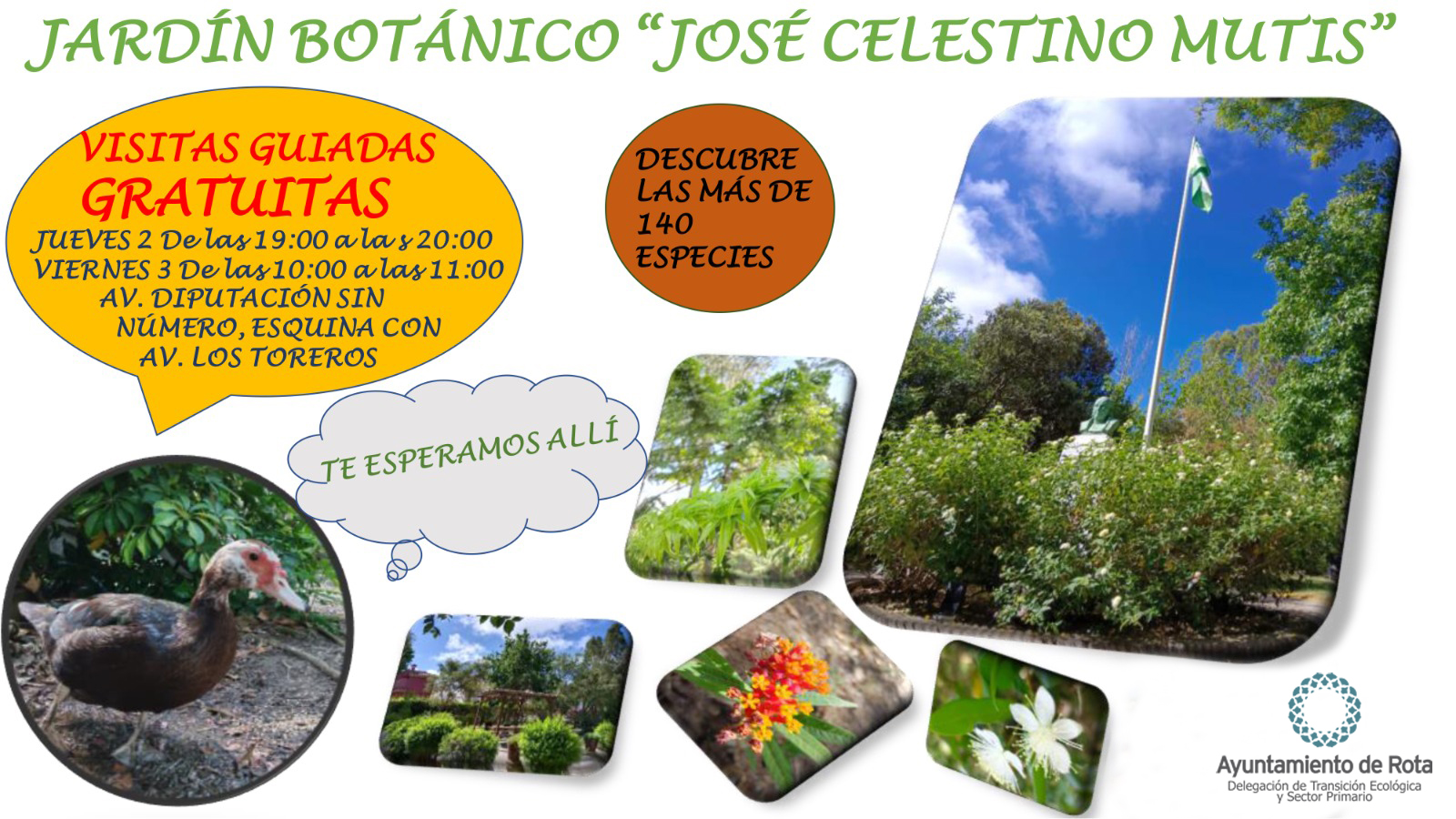 jardin botanico