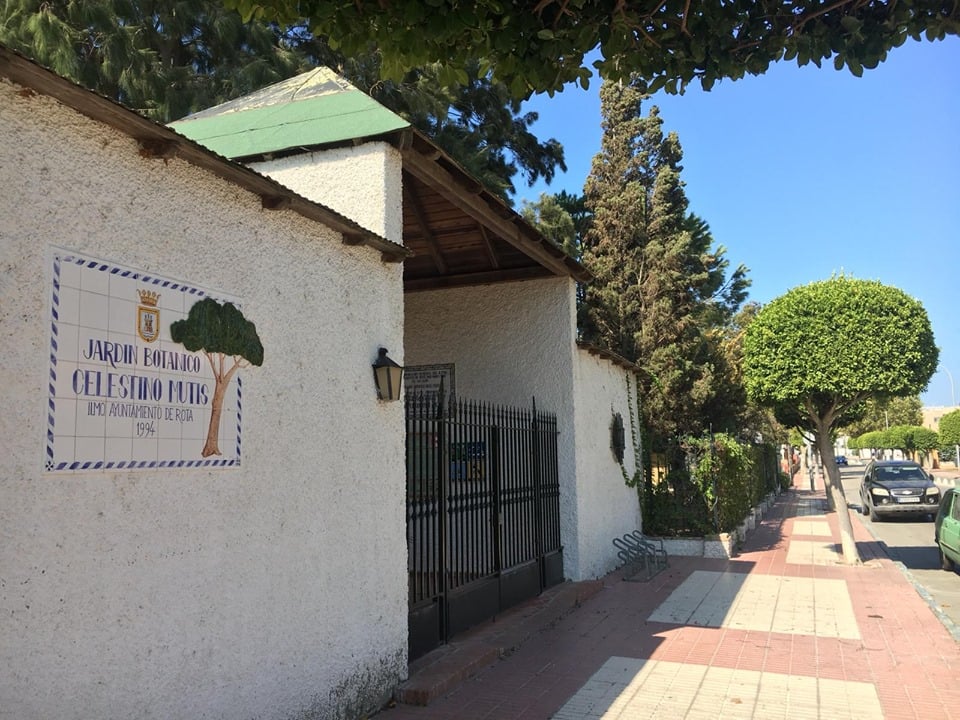 220916 cierre camaleon