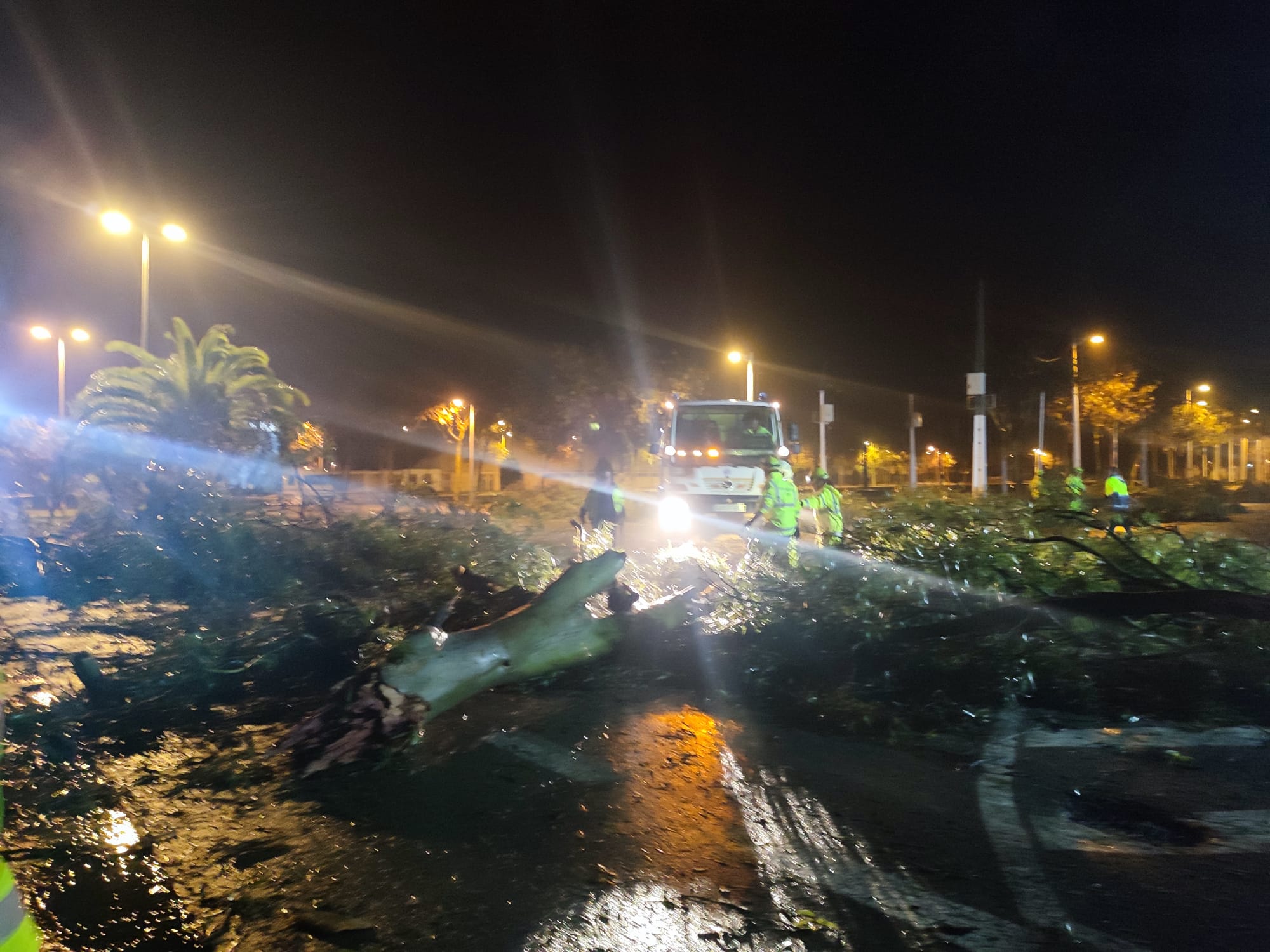 221214 El Ayuntamiento moviliza recursos y personal para actuar en las zonas afectadas por el tornado que esta madrugada ha atravesado la ciudad