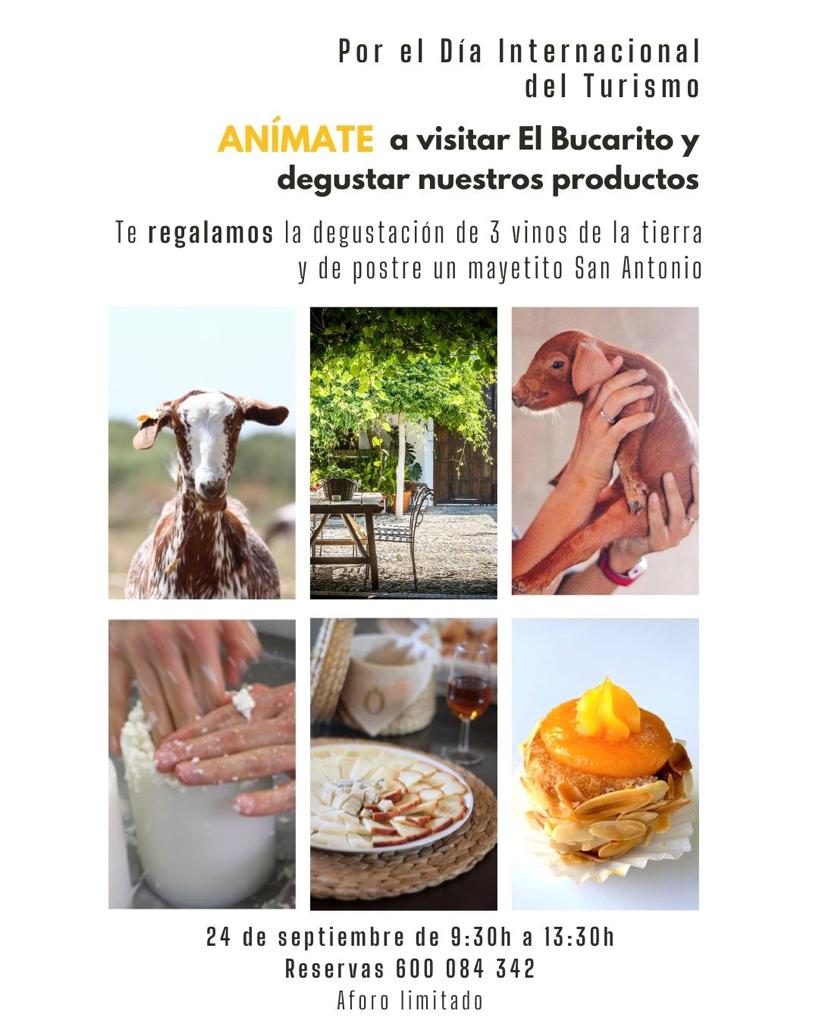 BUCARITO_DIÍA_DEL_TURISMO