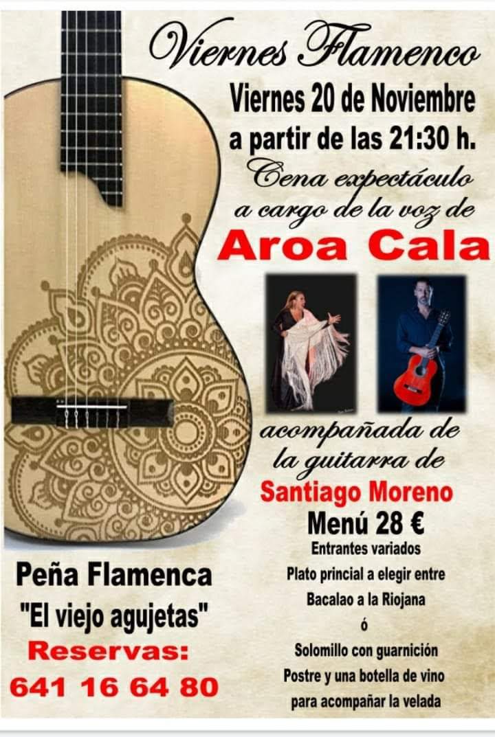 20_NOVIEMBRE_ACTUACIN_VIEJO_AGUJETAS