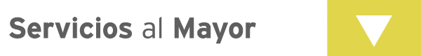 Servicios Mayor