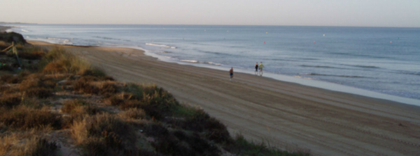 playa de la ballena