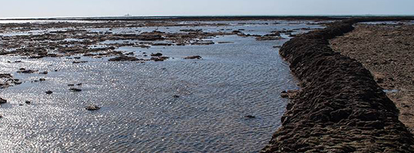 playa de los corrales