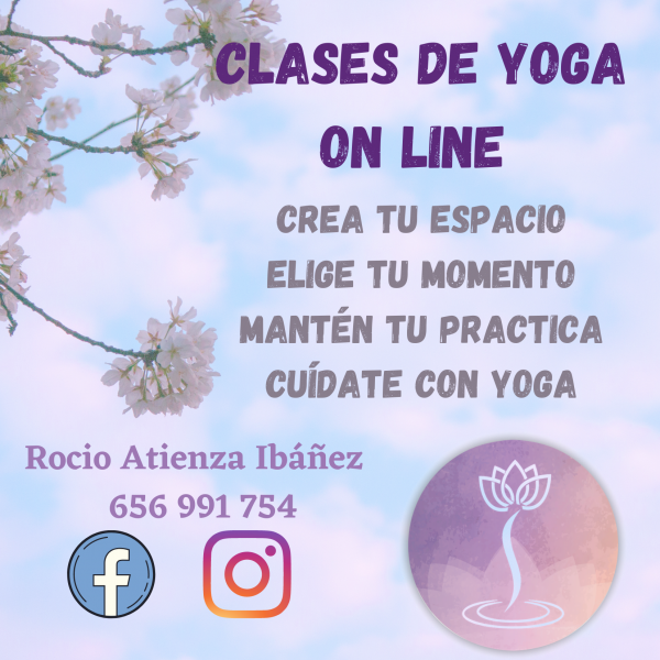 Clases_on_line