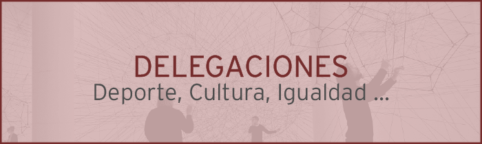 Delegaciones