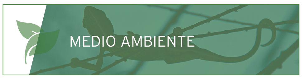 medio ambiente