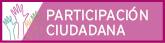 participacion ciudadana